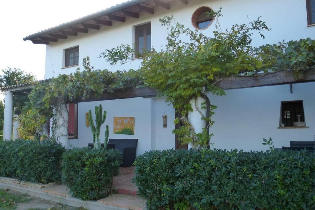 Cortijo Con Encanto Villa Cullera Dış mekan fotoğraf