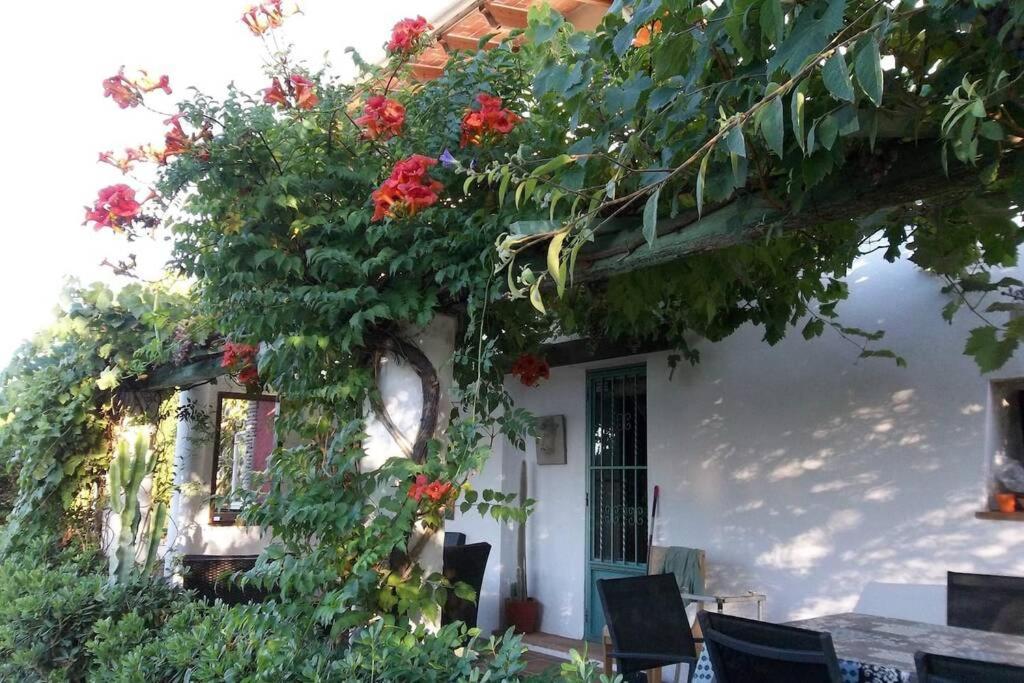 Cortijo Con Encanto Villa Cullera Dış mekan fotoğraf
